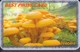 Delcampe - MUSHROOM SET OF 16 PHONE CARDS - Food