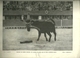 ORS ET LUMIERES 1951 POULY LUNEL CORRIDA TAUREAUX COURSE LIBRE FERIAS TOROS MATADOR - Collections