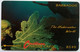 Barbados 5CBDC B$40 " Underwater (without Logo)" - Barbados (Barbuda)