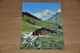 2406- Brixental - Brixen Im Thale