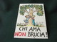 CHI AMA NON BRUCIA ALBERI - Alberi