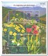 Bhutan 2000, Postfris MNH, Flowers - Bhutan