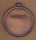 AC - TURKISH SWIMMING DIVING WATER POLO FEDERATION  MEDAL - MEDALLON - Zwemmen