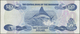01102 Bahamas: 100 Dollars ND(1984) P. 49, Rare Note, Used With Only Light Folds, A Few Pinholes, Pressed - Bahamas