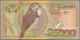 02454 Suriname: 25.000 Gulden 2000 "Owl Note" P. 154, Key Note Of The Series In Used Condition With Light - Suriname