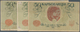 02567 Ukraina / Ukraine: Large Set With 26 Banknotes 50 Karbovantsiv ND(1918), P.5a All With Block Letters - Ucrania