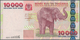 02939 Africa / Afrika: Collectors Book With 116 Banknotes From Tanzania, Tunisia And Uganda With Many Comp - Otros – Africa