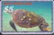 TURTLE SET OF 8 PHONE CARDS - Tortues