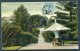 1904 Tasmania Botanical Gardens, Hobart Postcard. Lovett / Port Cygnet - Paris, France - Briefe U. Dokumente