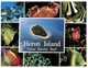 (341) Australia - QLD - Heron Island - Great Barrier Reef