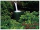 (900) Hawaii - Rainbow Falls - Big Island Of Hawaii