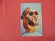 Skull Of Zinjanthropus The Near Man Found At Olduvail Gorge  Ref 2941 - Museum