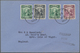 06985 Malaiische Staaten - Sarawak: 1939, 1 C Purple, 2 X 2 C Green And 3 C Black, Mixed Franking On Cover - Other & Unclassified