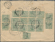 07057 Malaiische Staaten - Selangor: 1899, 1 C Green Tiger, 29 Stamps Presenting Correct Rate Multiple Mas - Selangor