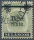 07058 Malaiische Staaten - Selangor: 1900, Tiger Head 3c. On 50c. Green And Black With Variety 'DENTED FRA - Selangor