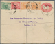 07131 Malaiische Staaten - Selangor: 1929, SARAK BERNAM: Federated Malay States Stat. Envelope 'Tiger In O - Selangor