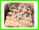 FEMMES - YOUNG WOMEN DRESSED FOR THE FIESTA DE LOS ANGELES, 1895 - BANNING FAMILY COLLECTION -  DIMENSION 12 X 16 Cm - - Vrouwen