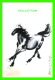 CHEVAUX - HORSES -  ORIENTAL CITY PUB. GROUP LTD ISSUED - - Chevaux