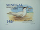 SENEGAL 1993 / 1153-1156 / 4 LUXE PROOFS / BIRDS FAUNA Sternes - Senegal (1960-...)