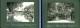 Delcampe - Mission Française En Australie-Méridionale Album 61 Photos 1918 Signatures Leclercq-Motte - Albumes & Colecciones