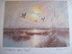 Reproduction A Encadré Sur Isorel D'un Envol De Canard Sauvage Sur L'eau Signé G GOUSTEAU Image 22.5 X 16.5 Cm - Other & Unclassified