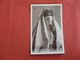 Tunisia  RPPC Female Ref 2947 - Tunisia