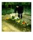 Photo Polaroid Originale D'une Femme Venant Se Recueillir Sur Une Tombe - Mortem - Tombe Fleurie Vers 1980 - Personnes Anonymes