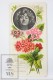 Old Modernist Trading Card / Chromo Flower - Vervain &amp; Model - Jaime Boix N&ordm; 43 - Otros & Sin Clasificación