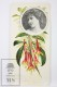 Old Modernist Trading Card / Chromo Flower - Fuchsia &amp; Model - Jaime Boix N&ordm; 57 - Autres & Non Classés