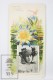 Old Modernist Trading Card / Chromo Flower - Blue Lotus &amp; Model - Jaime Boix N&ordm; 88 - Other & Unclassified