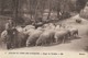 CARTE POSTALE ORIGINALE ANCIENNE : SCENES ET TYPES  UN BERGER DES PYRENEES AVEC SES MOUTONS  PYRENEES  ATLANTIQUES (64) - Allevamenti