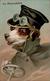 Hund Personifiziert Automibilist Prägedruck 1908 I-II Chien - Perros
