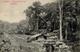 Kolonien Deutsch Ostafrika Amani Gärtnerhaus An Den Saatbeeten 1910 I-II (Marke Entfernt) Colonies - History