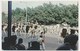 KHARTOUM SUDAN, Camel Riders Mounted Police, Old Postcard - Sudan