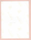 JOHNNY HALLYDAY Et SYLVIE VARTAN Photo Couleur Format Environ 15 X 20 CM - Beroemde Personen
