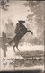 ! Alte Fotokarte, Photo, Wildes Pferd, Horse, Cheval, 1917, Landw. Inf. Regt. Nr. 31, 1.Weltkrieg, Militaria, Allenstein - Cavalli