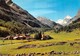 Cartolina Rheme N. Dame Valle D'Aosta Panorama Con Granta Parei 1970 - Other & Unclassified