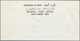 Delcampe - 08013 Adschman / Ajman: 1968, Apollo 7, 5dh. To 15r., Complete Set Each As De Luxe Sheets (coloured/illust - Ajman