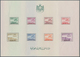 08848 Irak: 1948/1949, King Faisal II. And 'aeroplane Over Buildings' Perf. And Imperf. Miniature Sheets S - Irak