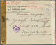 08946 Iran: 1944: Rare 20 R Shah Portrait With Additional Franking On Russian Censored Airmail Cover From - Iran