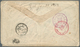 08968 Japan: 1876, The Green TOKEI Cover: Old Koban 5 S. Brown Horizontal Pair Canc. Small Green Flower Of - Autres & Non Classés