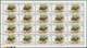 09754 Schardscha / Sharjah: 1966, Fishes, 1np. To 10r., Complete Set Of 17 Values As (folded) Sheets Of 20 - Sharjah