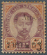 09937B Thailand: 1894, 2 Atts. On 64 A., Surcharge On Front And On Gum Side, MNH, Scarce. - Thaïlande