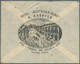 10193 Thematik: Eisenbahn / Railway: 1903, Argentina: 5 Ct Red Postal Stationery Envelope, On Reverse Priv - Eisenbahnen