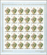 Delcampe - 10232 Thematik: Flora, Botanik / Flora, Botany, Bloom: 1967, COOK ISLANDS: Flowers And QEII Complete Set O - Sonstige & Ohne Zuordnung