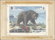 11035 Thematik: Tiere-Bären / Animals-bears: 1971, Umm Al-Qaiwain. Artist's Drawing For The 25dh Value Of - Bären