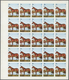 11099 Thematik: Tiere-Pferde / Animals-horses: 1972. Sharjah. Progressive Proof (6 Phases) In Complete She - Chevaux