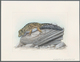 Delcampe - 11110 Thematik: Tiere-Reptilien / Animals-reptiles: 1995, TAJIKISTAN: Native LIZARDS Set Of Seven Differen - Autres & Non Classés