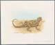 Delcampe - 11110 Thematik: Tiere-Reptilien / Animals-reptiles: 1995, TAJIKISTAN: Native LIZARDS Set Of Seven Differen - Autres & Non Classés