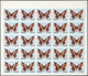 11120 Thematik: Tiere-Schmetterlinge / Animals-butterflies: 1972. Sharjah. Progressive Proof (7 Phases) In - Papillons